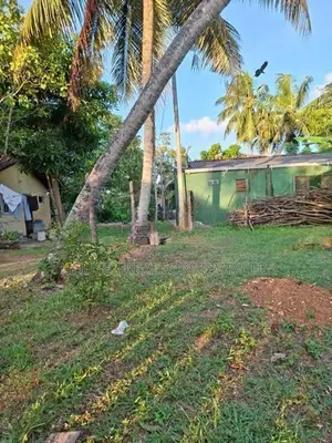 10-Perch Residential Land for Sale – Kandana