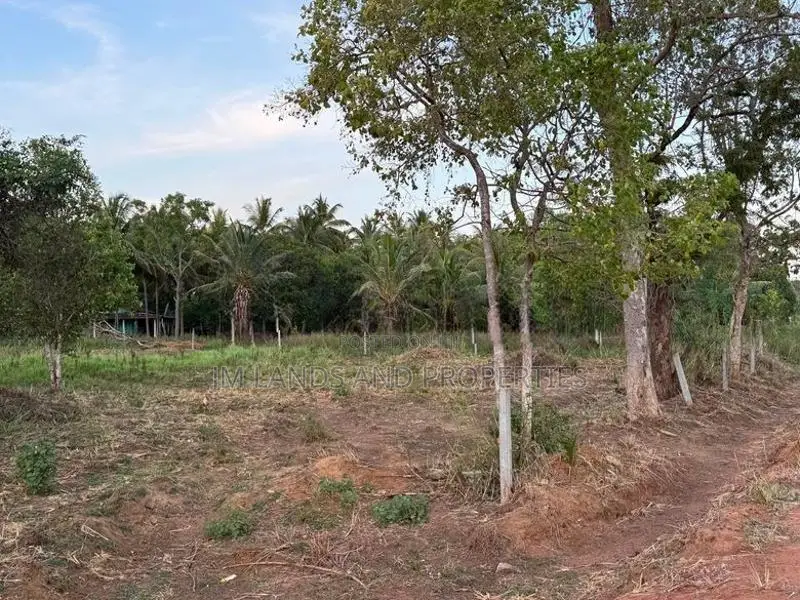 සීගිරිය – ඉදිගස්වැව ප්‍රදේශයෙන් වටිනා ඉඩමක් විකිණීමට