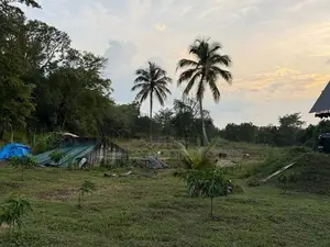 දඹුල්ල – වවුල් අඹේ ප්‍රදේශයෙන් අගනා ඉඩමක් විකිණීමට