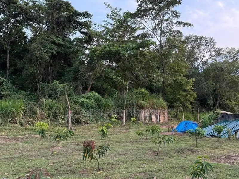 දඹුල්ල – වවුල් අඹේ ප්‍රදේශයෙන් අගනා ඉඩමක් විකිණීමට