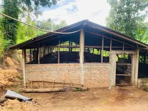 2-Acre Land for Sale – Beliatta