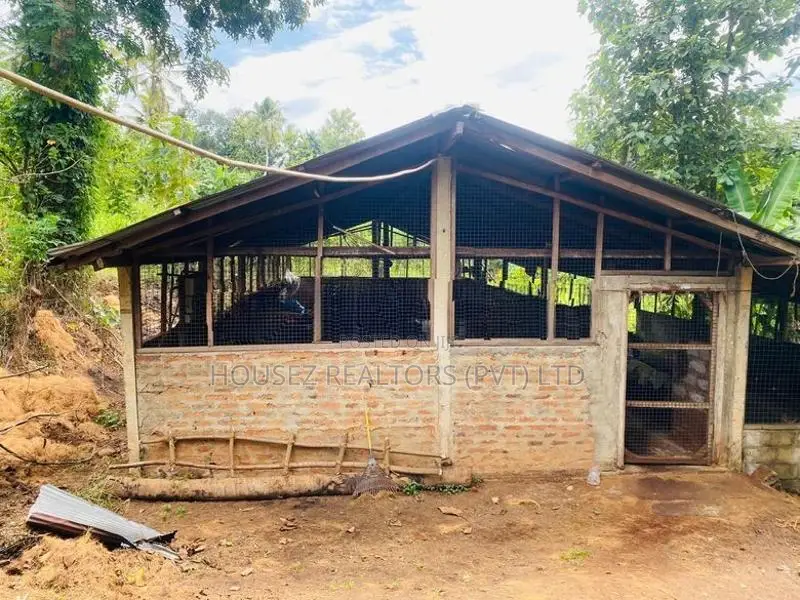 2-Acre Land for Sale – Beliatta