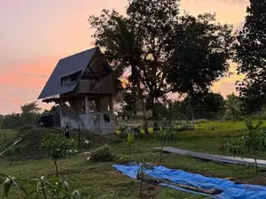 දඹුල්ල – වවුල් අඹේ ප්‍රදේශයෙන් අගනා ඉඩමක් විකිණීමට