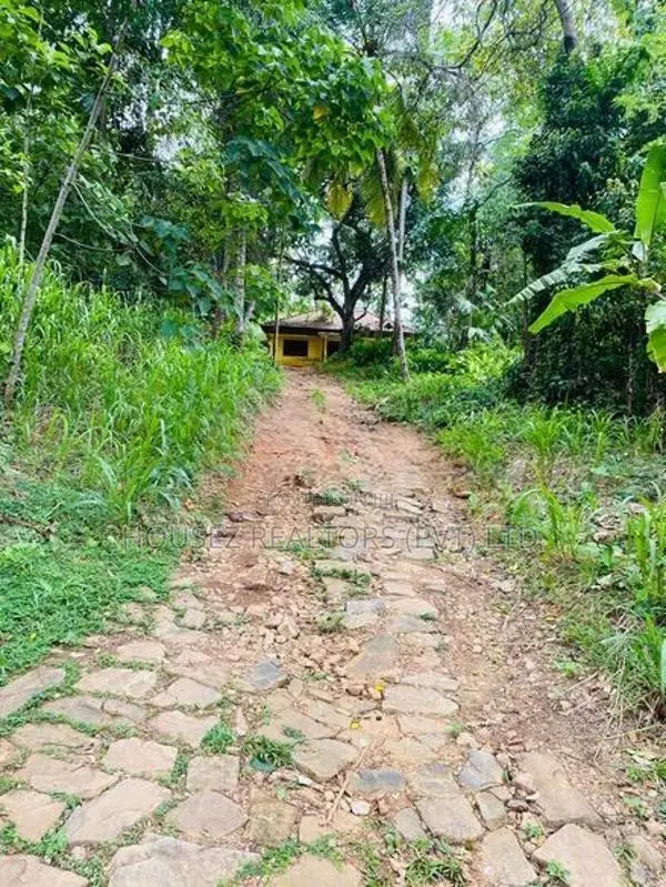 2-Acre Land for Sale – Beliatta