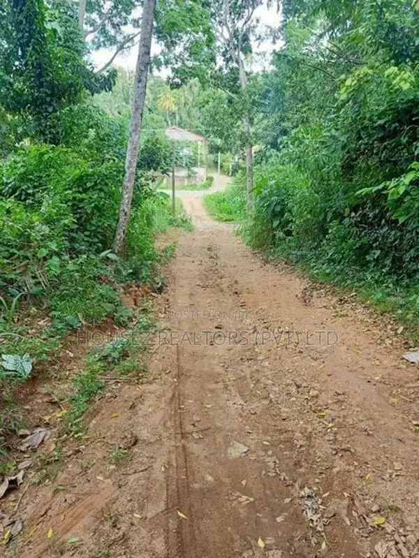 2-Acre Land for Sale – Beliatta