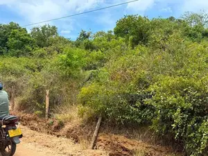 කණ්ඩලම – කළුදියපොකුණ ප්‍රදේශයෙන් අගනා අක්කර 05ක ඉඩමක් විකිණීමට