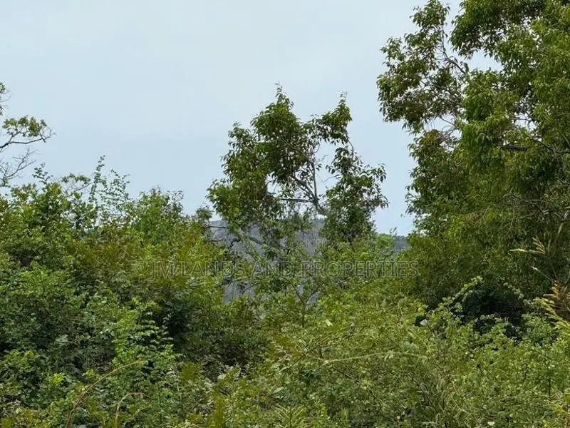 කණ්ඩලම – කළුදියපොකුණ ප්‍රදේශයෙන් අගනා අක්කර 05ක ඉඩමක් විකිණීමට