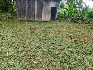 Land for Sale in Off Kalapauwawa Road, Angoda