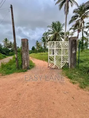 කඩුවෙල මල්වානෙන් ආදායම් ලබන වටිනා පොල් ඉඩමක් / HL 15067