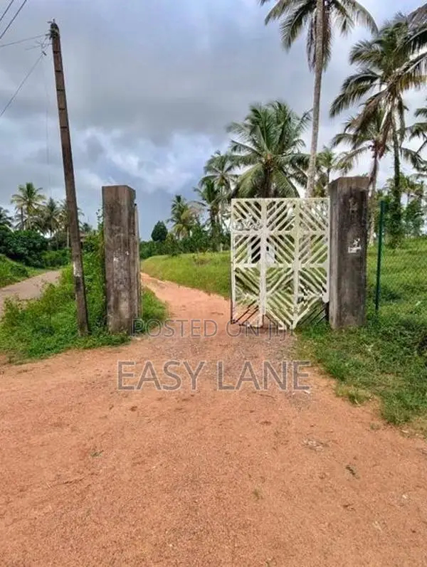 කඩුවෙල මල්වානෙන් ආදායම් ලබන වටිනා පොල් ඉඩමක් / HL 15067