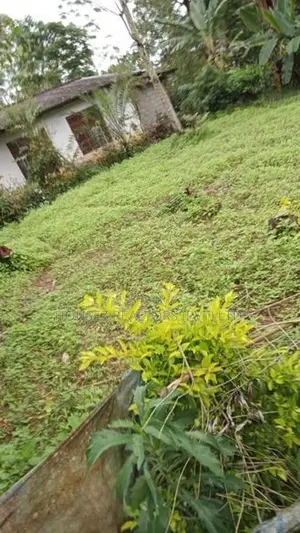 15-Perch Bare Land for Sale – Guruthalawa