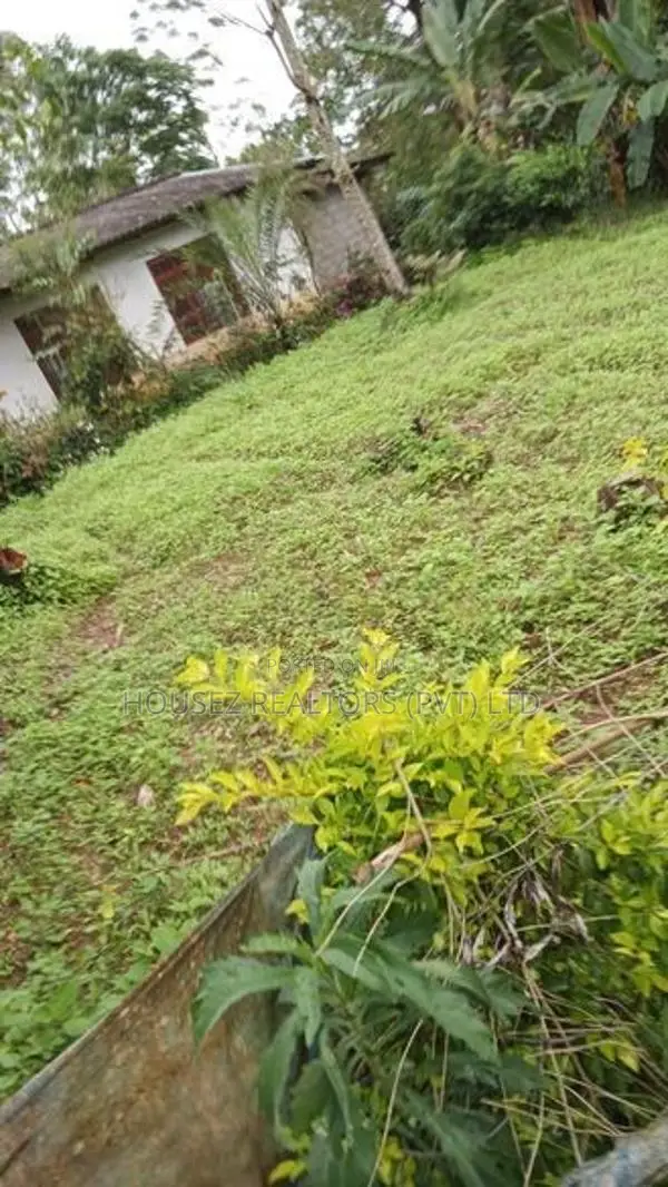 15-Perch Bare Land for Sale – Guruthalawa
