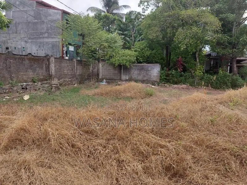 Super land for sale Borelesgamuwa