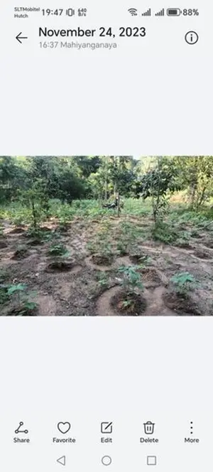 Land for Sale in Mahiyanganaya