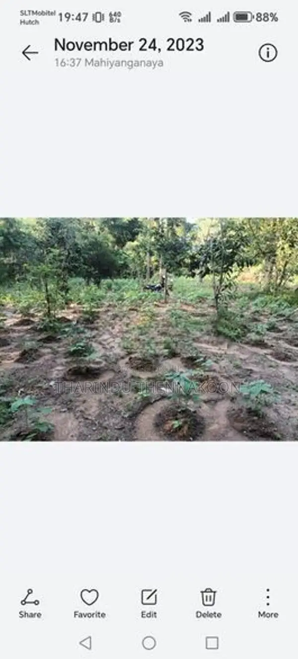 Land for Sale in Mahiyanganaya
