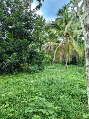 කඩුවෙල මල්වානෙන් ආදායම් ලබන වටිනා පොල් ඉඩමක් / HL 15067