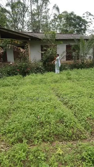 15-Perch Bare Land for Sale – Guruthalawa