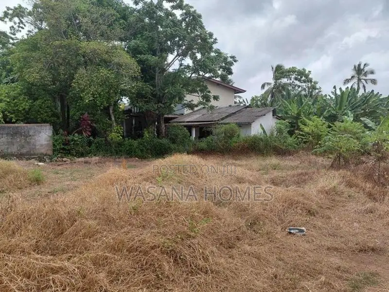 Super land for sale Borelesgamuwa