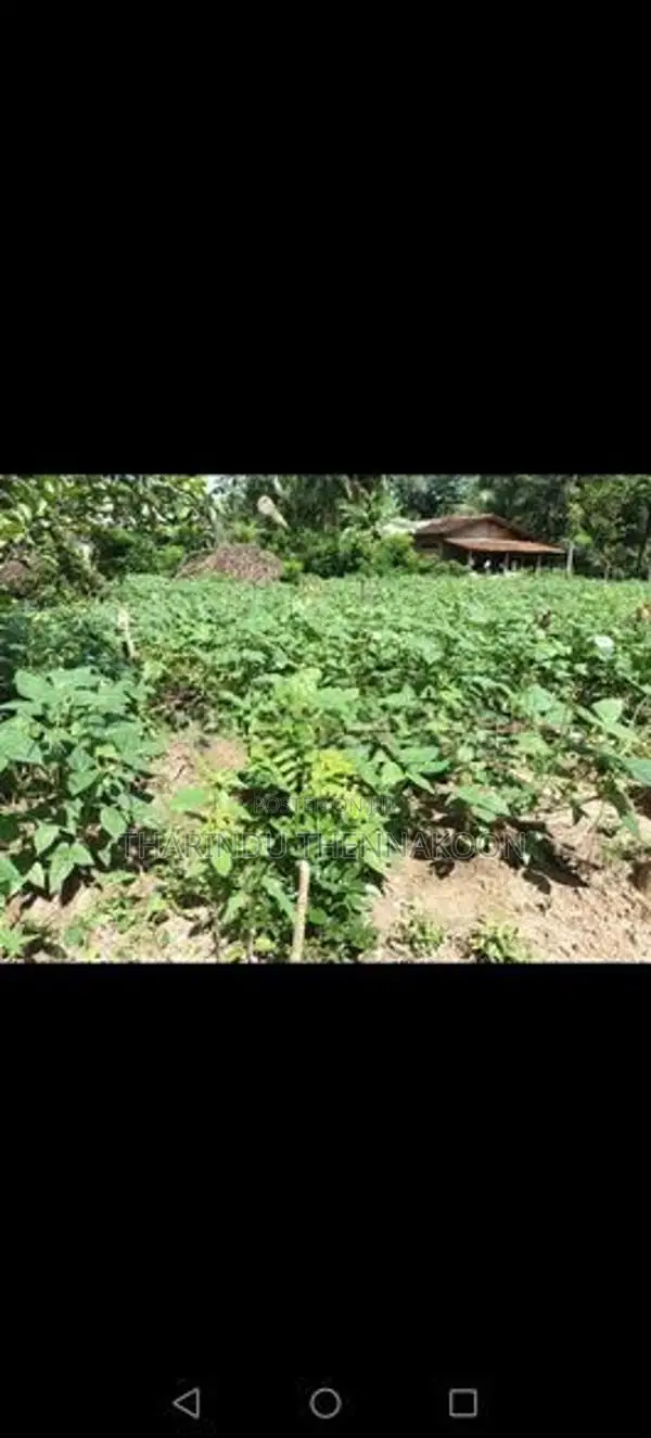 Land for Sale in Mahiyanganaya