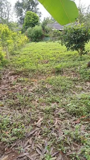 15-Perch Bare Land for Sale – Guruthalawa