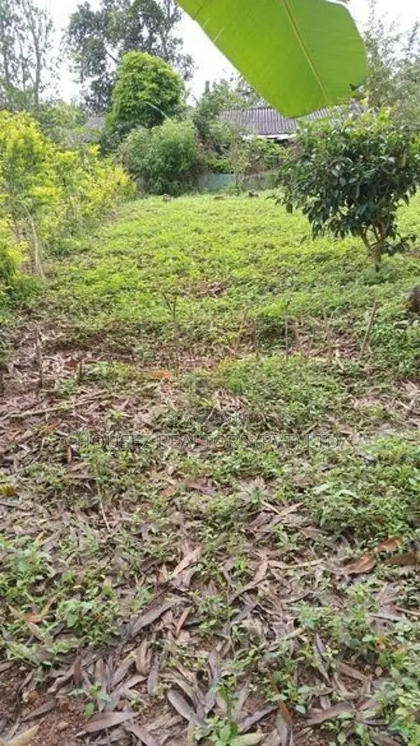 15-Perch Bare Land for Sale – Guruthalawa