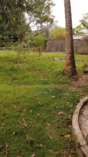 Lake-Facing Land for Sale – Maharagama