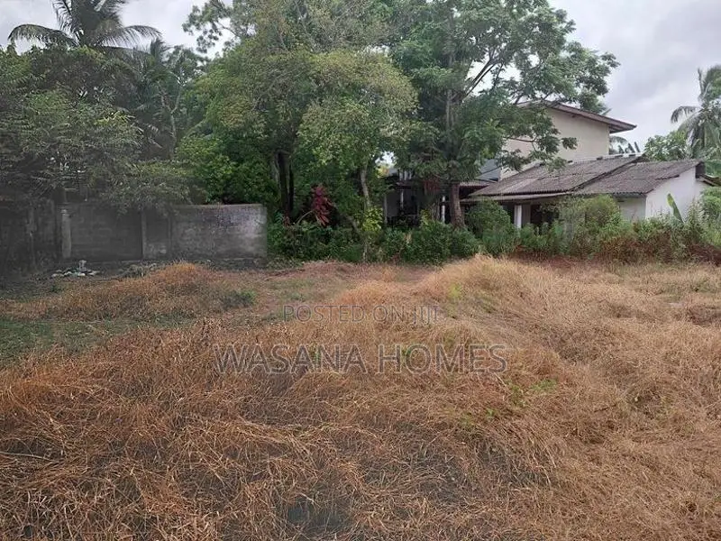 Super Land for Sale Borelesgamuwa