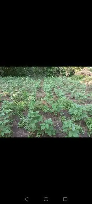 Land for Sale in Mahiyanganaya