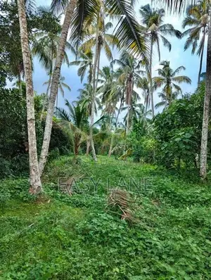 කඩුවෙල මල්වානෙන් ආදායම් ලබන වටිනා පොල් ඉඩමක් / HL 15067
