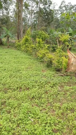 15-Perch Bare Land for Sale – Guruthalawa