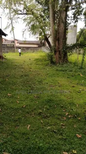 Lake-Facing Land for Sale – Maharagama