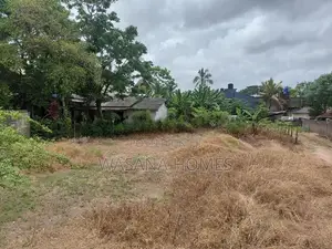 Super Land for Sale Borelesgamuwa