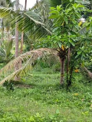 කඩුවෙල මල්වානෙන් ආදායම් ලබන වටිනා පොල් ඉඩමක් / HL 15067
