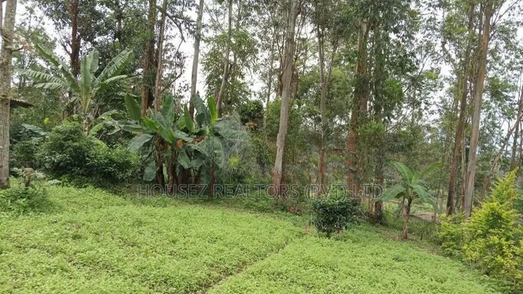 15-Perch Bare Land for Sale – Guruthalawa