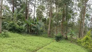 15-Perch Bare Land for Sale – Guruthalawa