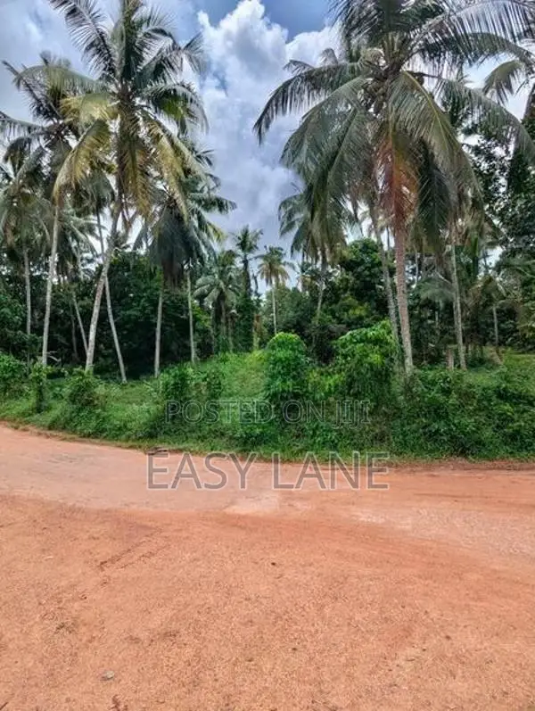 කඩුවෙල මල්වානෙන් ආදායම් ලබන වටිනා පොල් ඉඩමක් / HL 15067