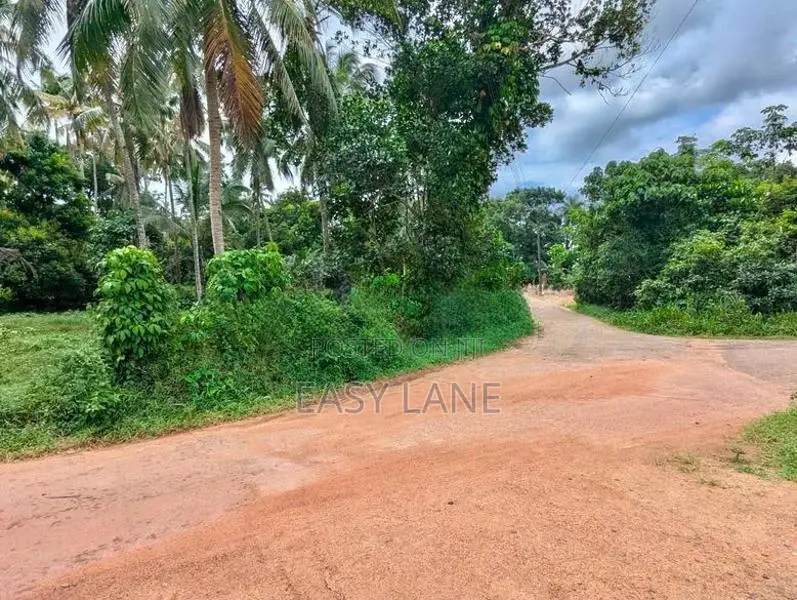 කඩුවෙල මල්වානෙන් ආදායම් ලබන වටිනා පොල් ඉඩමක් / HL 15067