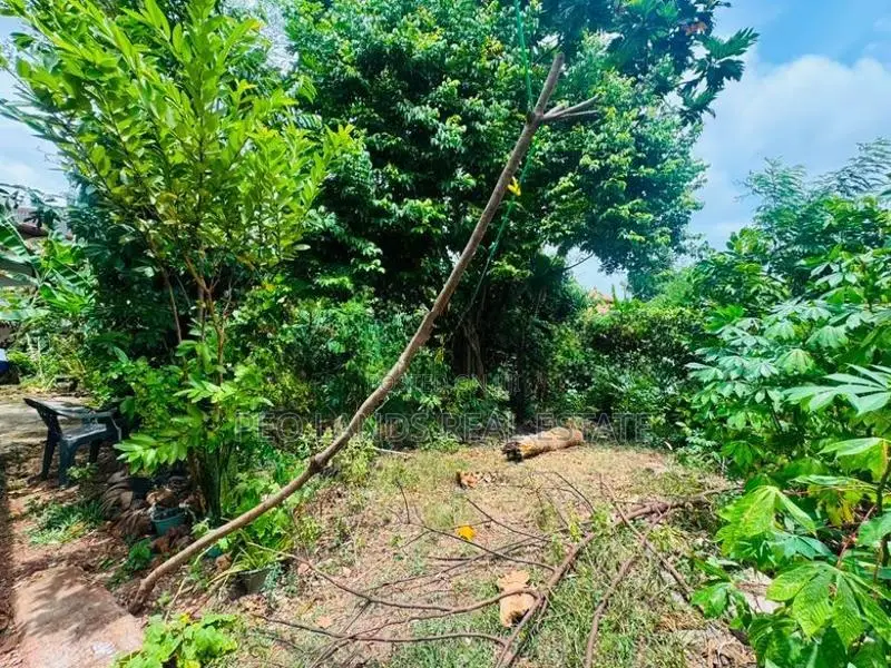 (DL1329) 25 Perch Land for Sale in Kalapaluwawa