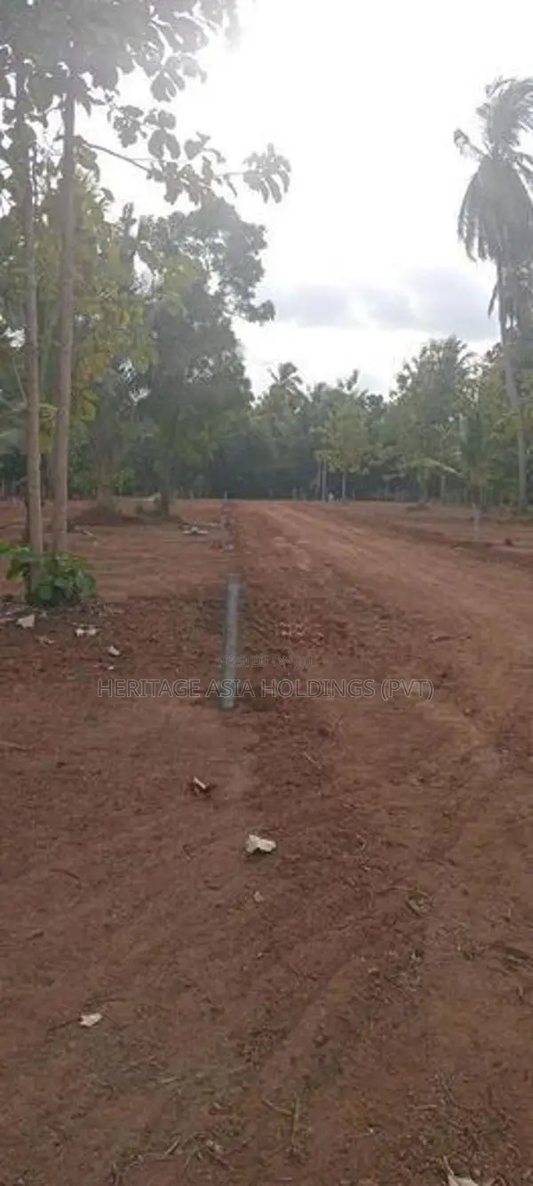 මේ සුපිරිම ඉඩම අනුරාධපුර