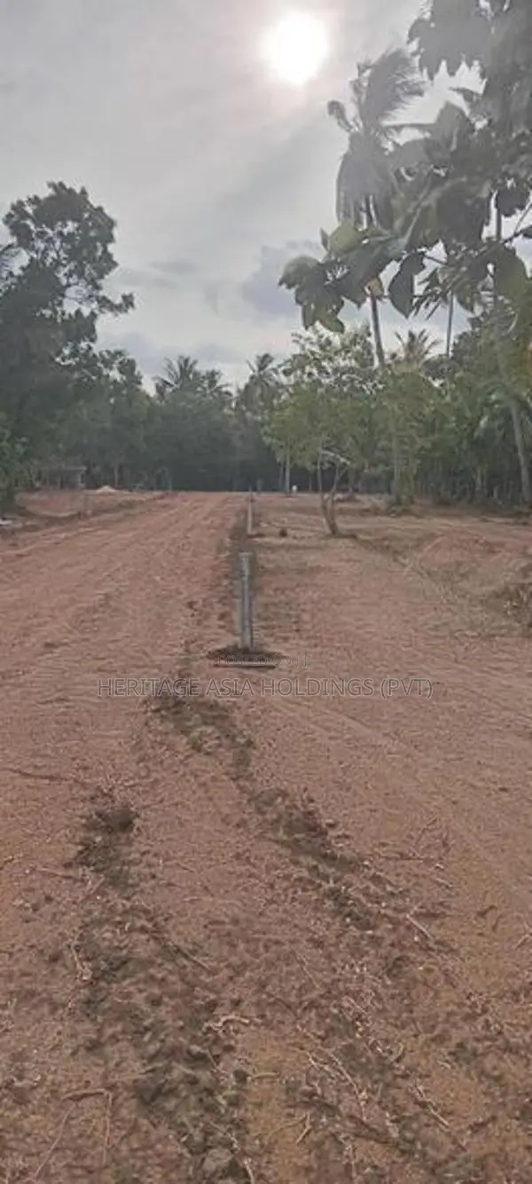 මේ සුපිරිම ඉඩම අනුරාධපුර