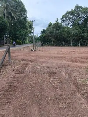 අනුරාධපුර නගරයට සමීපයෙන් සින්නක්කර බිම් කොටස්