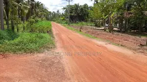 Coconut Land For Sale In Horagassagara Bingiriya