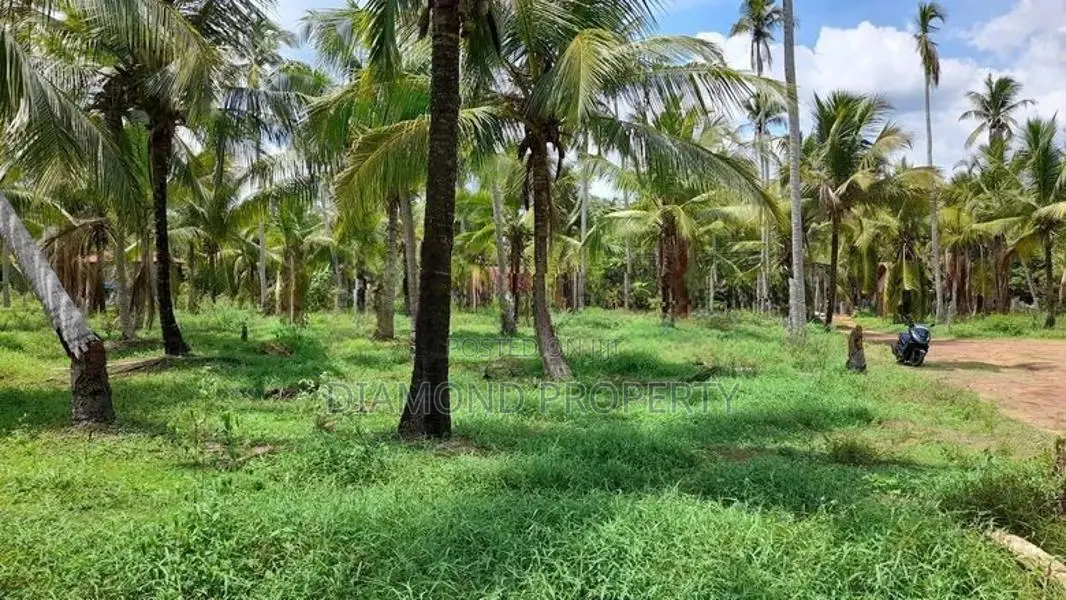 Coconut Land For Sale In Horagassagara Bingiriya