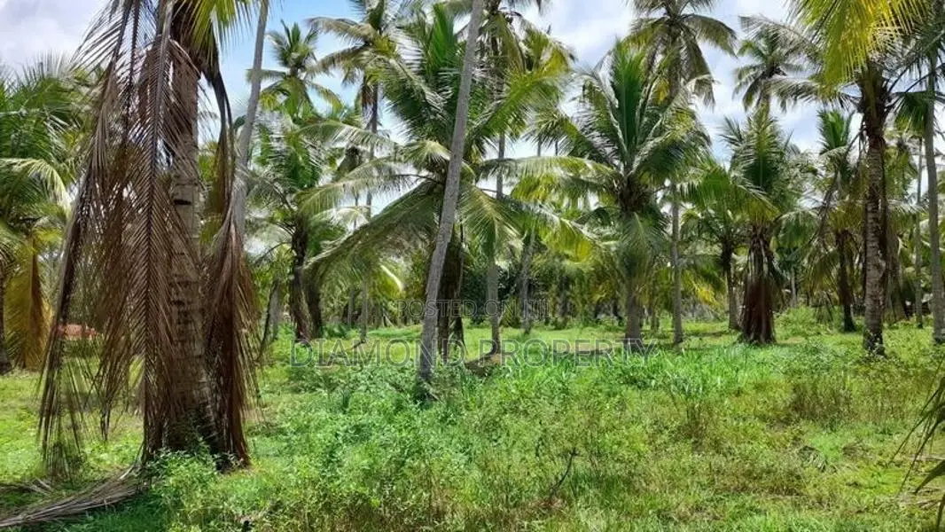 Coconut Land For Sale In Horagassagara Bingiriya