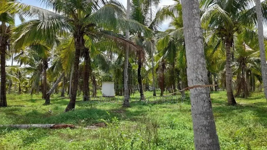 Coconut Land For Sale In Horagassagara Bingiriya