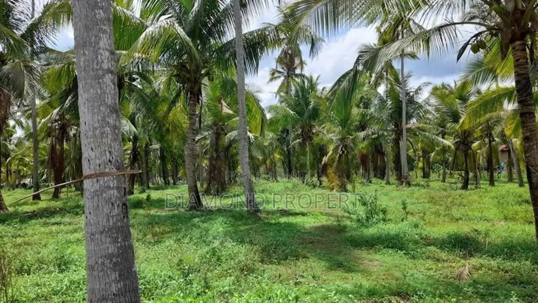 Coconut Land For Sale In Horagassagara Bingiriya
