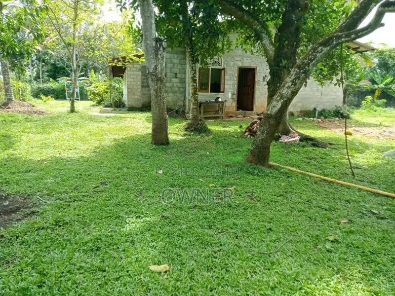 ගනෙමුල්ල වටිනා සින්නක්කර ඉඩමක් විකිණීමට