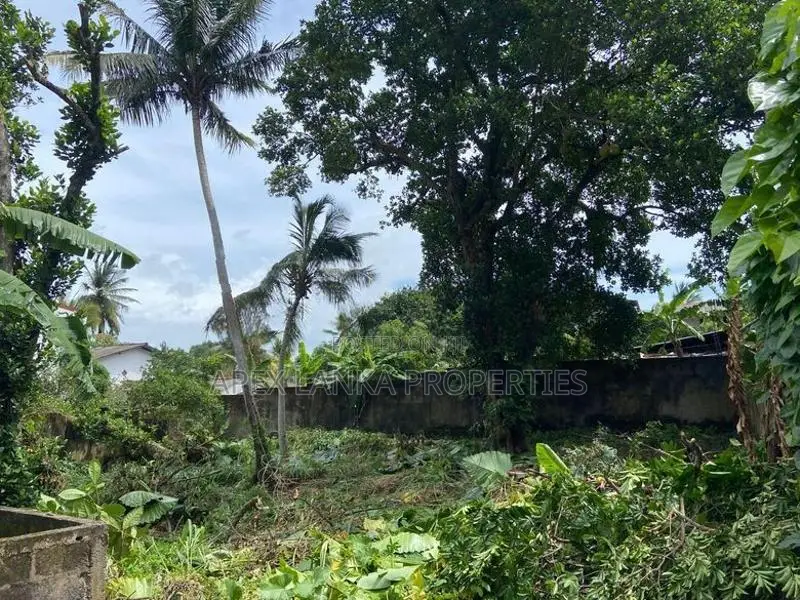 Land for Sale Near the University of Moratuwa