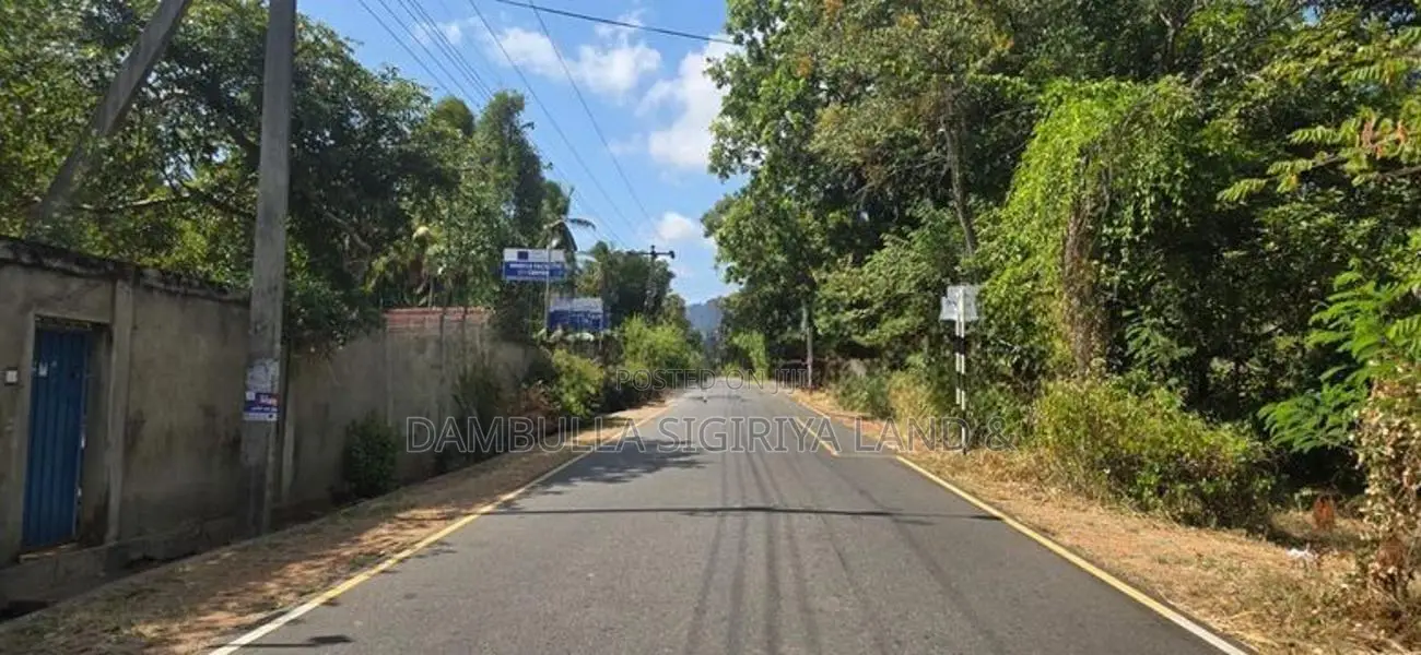 Land for Sale in Dambulla - දඹුල්ලෙන් ඉඩමක් විකිණීමට