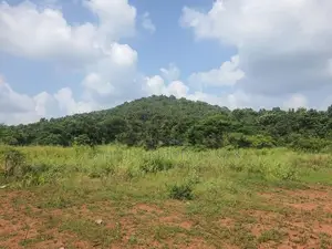 දඹුල්ලෙන් ඉඩමක් විකිණීමට